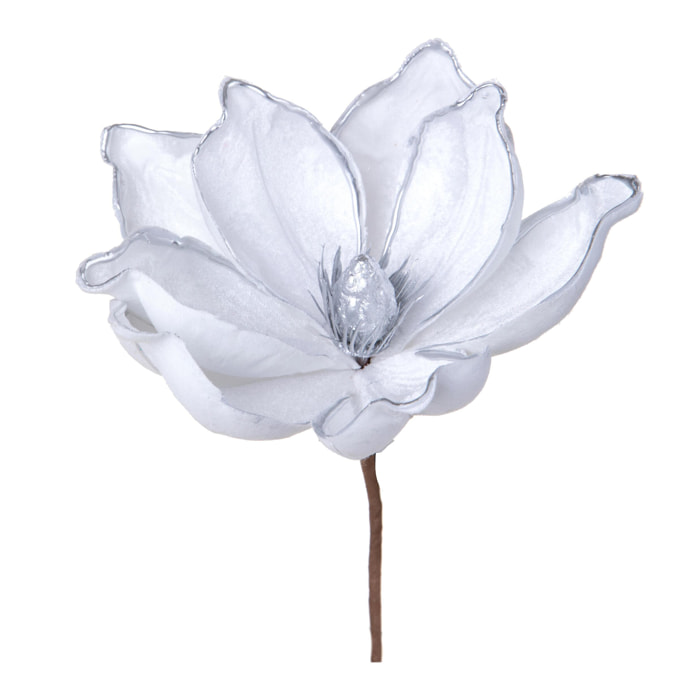 Pick magnolia - Pezzi 12 - 25xH12x25cm - Bianchi Dino SpA