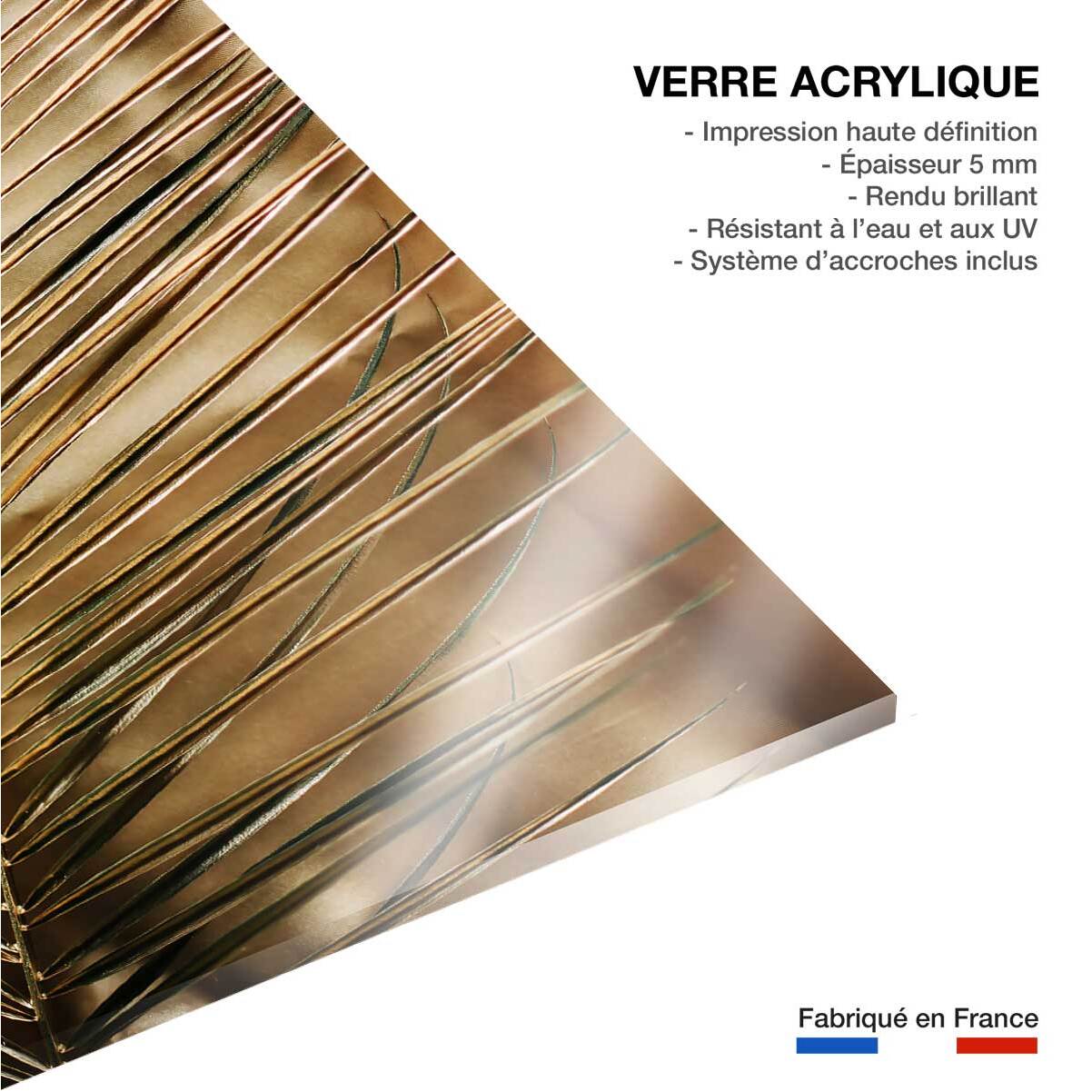Tableau golden palm Tableau plexiglas