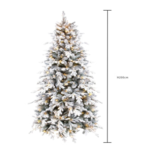 Abete Natalizio - Pezzi 1 - 121xH200x121cm - Bianchi Dino SpA