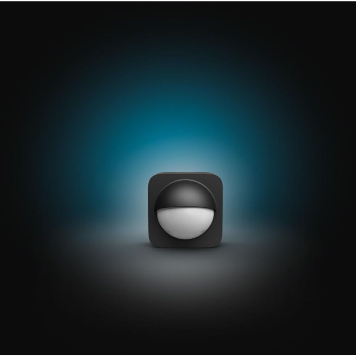 Détecteur PHILIPS HUE Motion Sensor Extérieur