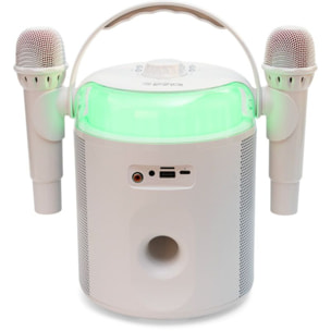 Enceinte sono IBIZA KARAHOME-WH