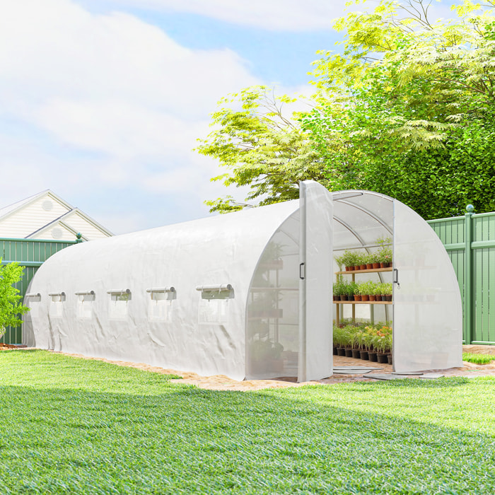 Serre tunnel de jardin 24 m² porte 12 fenêtres acier PE blanc