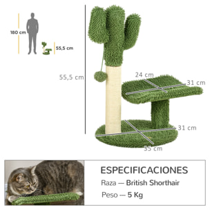 Árbol Rascador de Cactus para Gatos de 55,5 cm Torre para Gatos de Interior con Postes de Sisal Cama y Bola de Juguete 35x31x55,5 cm Verde