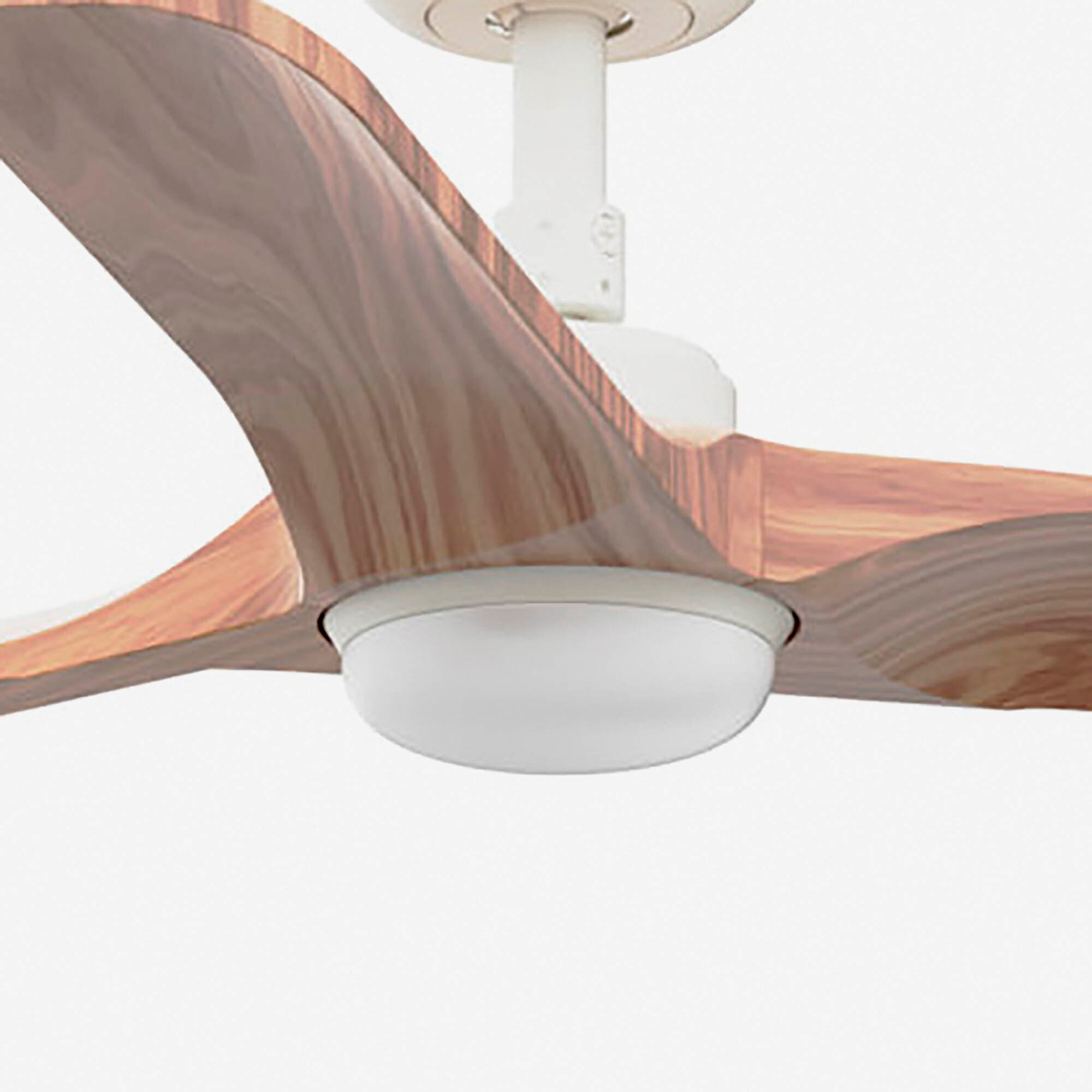 HEYWOOD S LED Ventilateur blanc/bois foncé DC