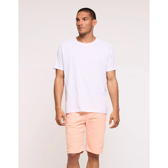 Bermuda Mandarina - Steven