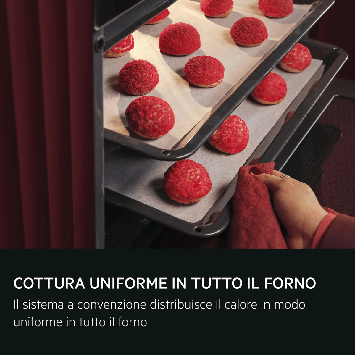 AEG Horno multifunción Serie 5000 SurroundCook con SteamBake con Display LED Explore V5PBA521AB