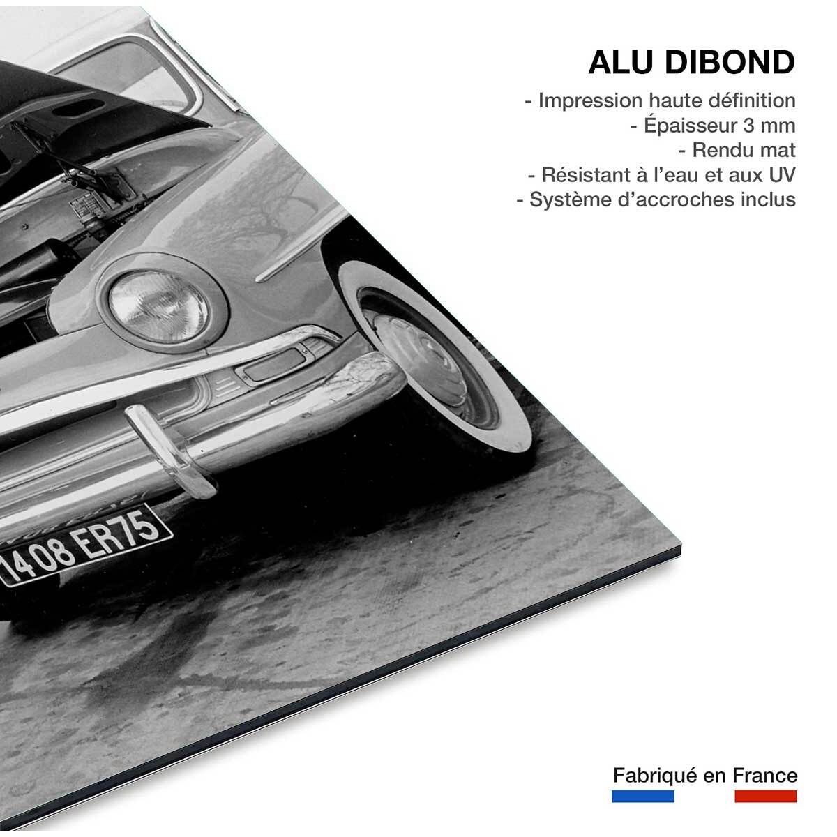 Tableau noir et blanc Paris Insolite Tableau alu Dibond