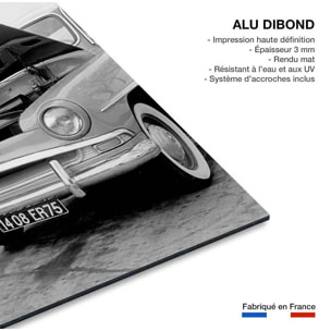 Tableau noir et blanc Paris Insolite Tableau alu Dibond