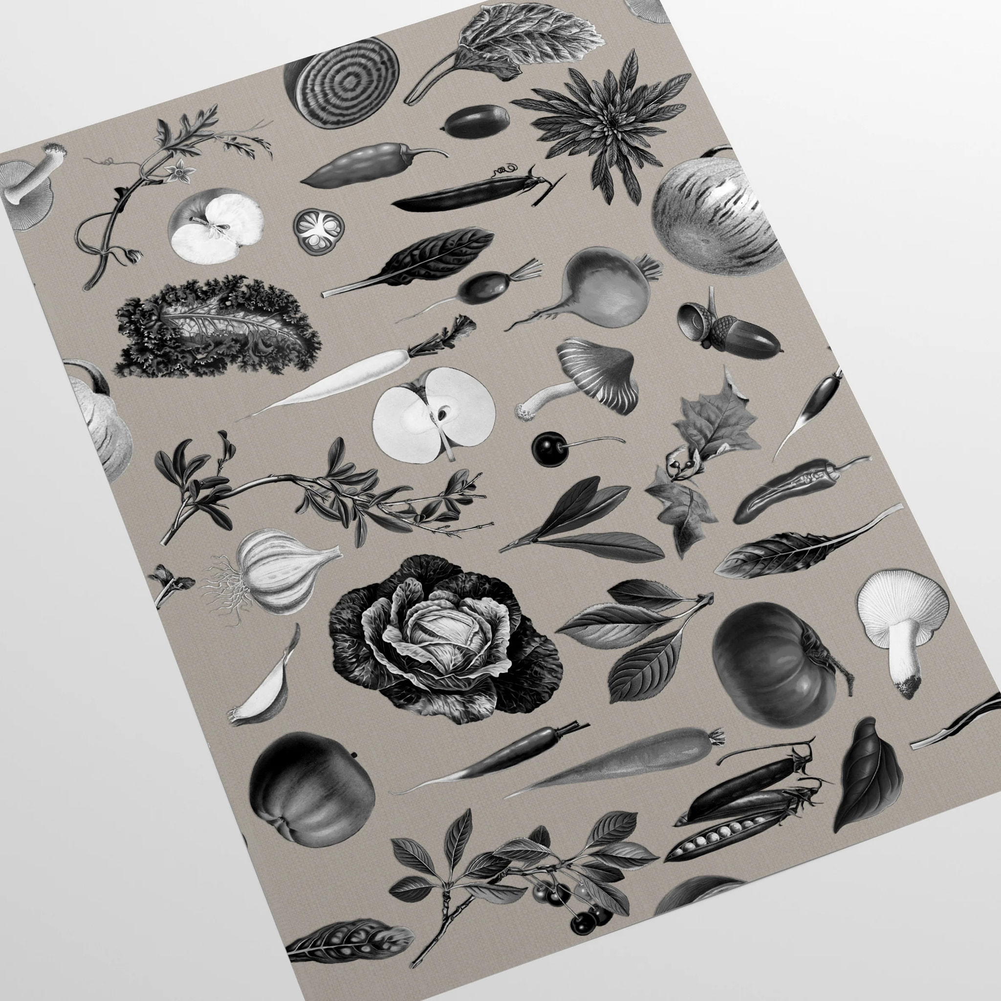 Carta da Parati Cucina