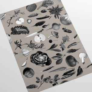 Carta da Parati Cucina