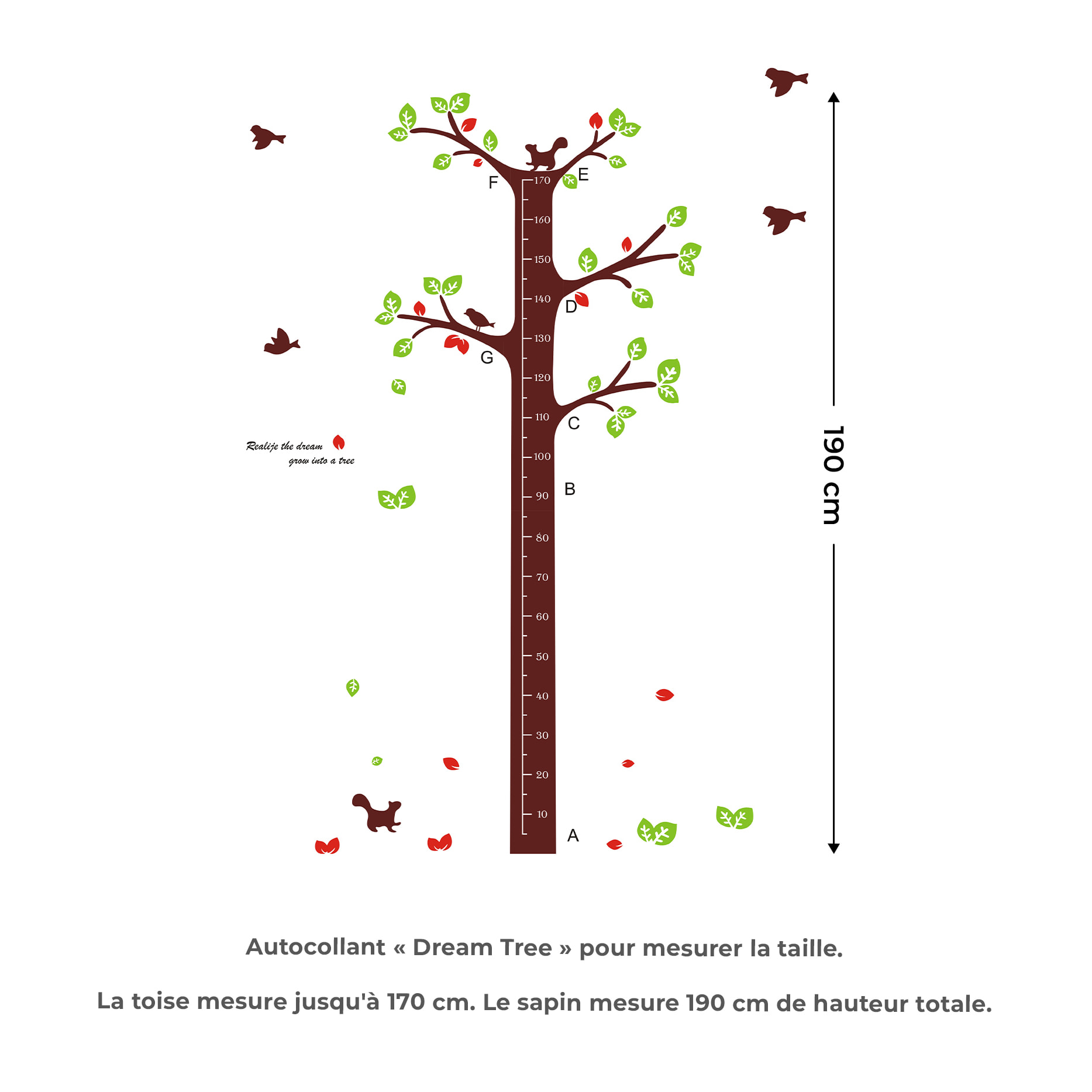 Stickers Muraux décoration adhésifs toise arbre des rêves