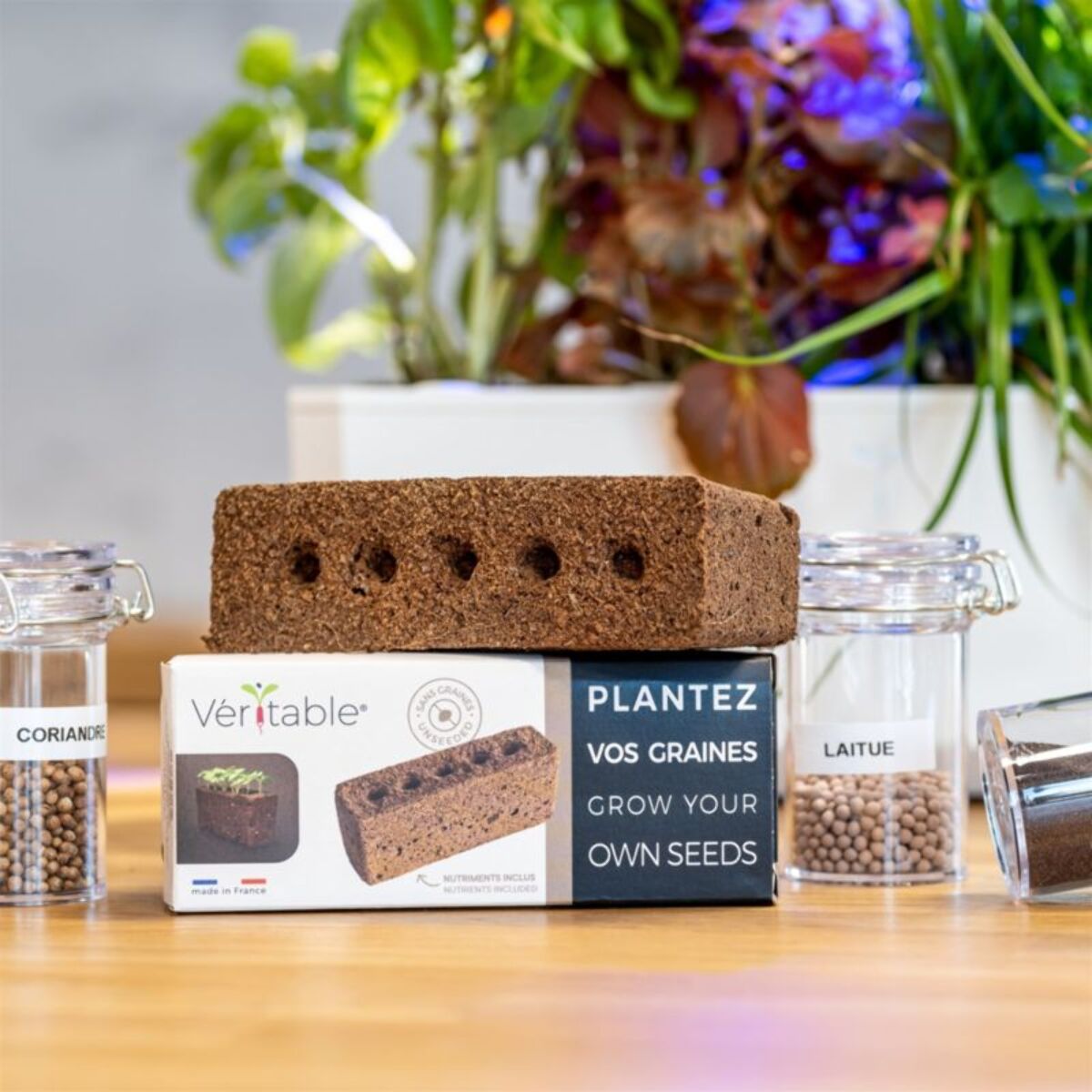 Recharge jardin d'intérieur VERITABLE Lingot Plantez vos propres graines