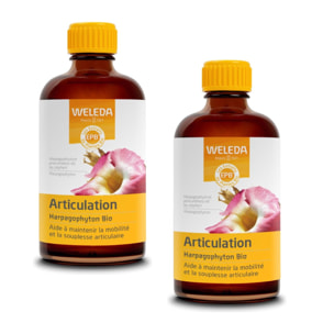WELEDA -  Duo EPB Harpagophyton Bio - Articulation  2*100 ml