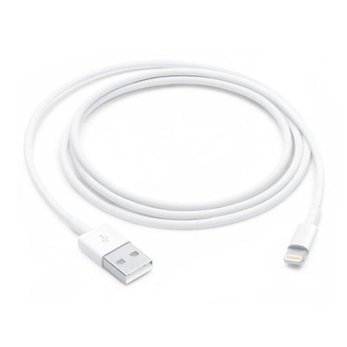 Câble Lightning APPLE Lightning vers USB 1m