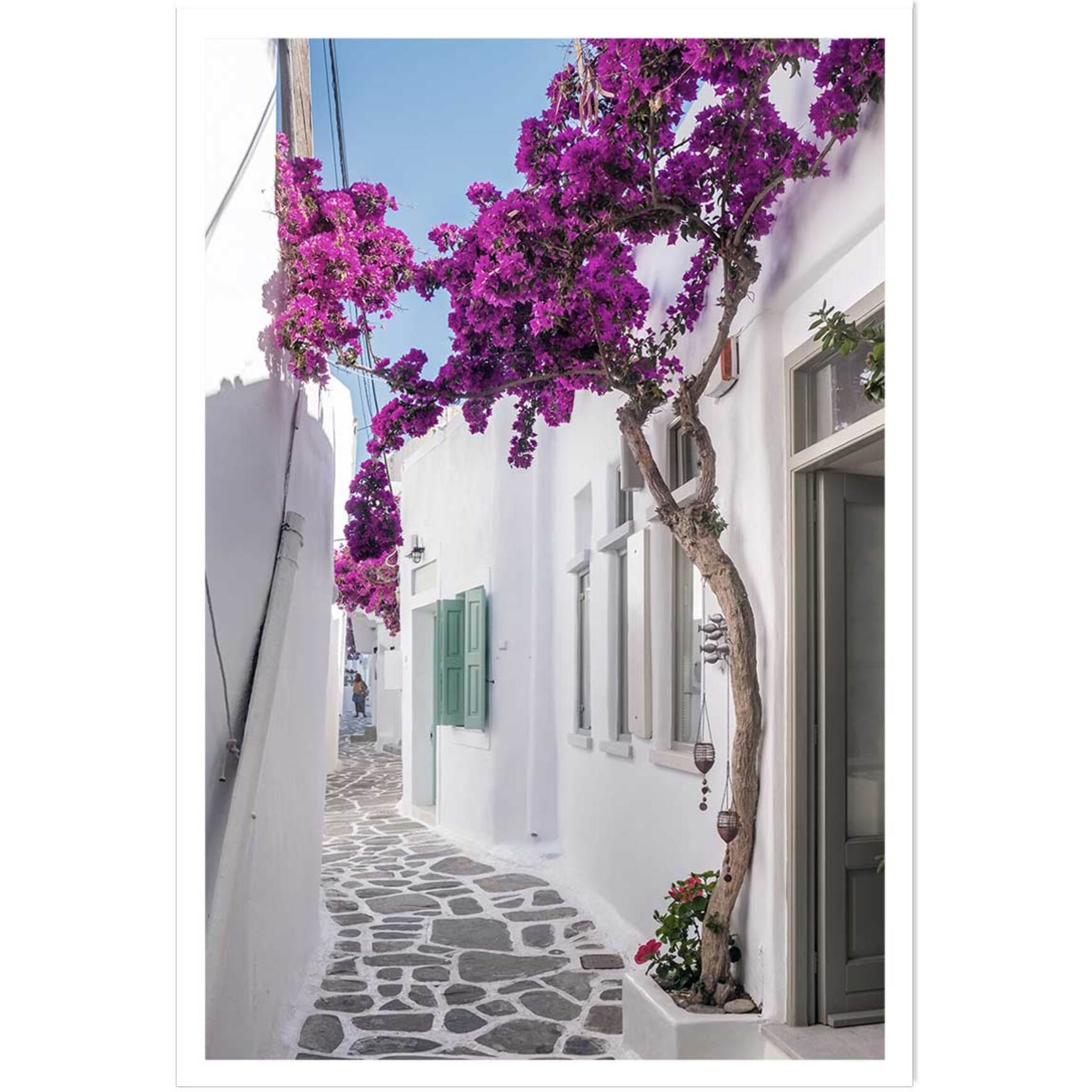 Poster bougainvilliers paros Affiche seule