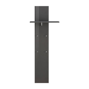 Mobile da ingresso Etesia, Entratina moderna multifunzione, Armadietto multiuso per atrio, 100% Made in Italy, cm 50x27h140, Antracite lucido