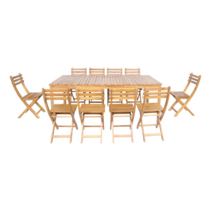 Table de jardin bois d'acacia + 10 assises CALENA + SENORA