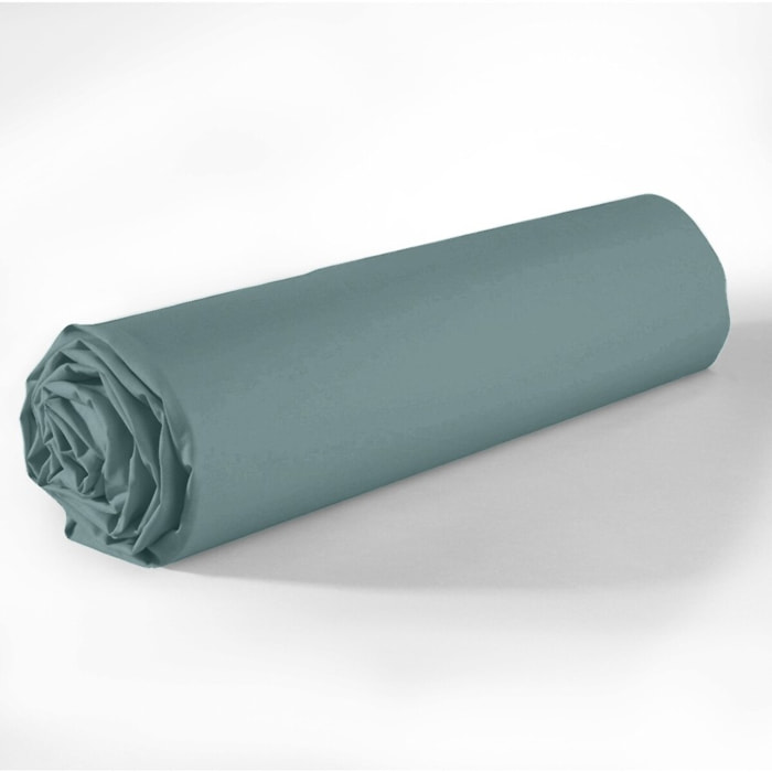 Drap housse coton bleu, canard