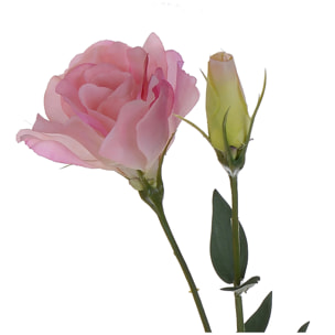 Lisianthus Composto Da 3 Fiori. Altezza 75 Cm - Pezzi 6 - 10X75X19cm - Colore: Rosa - Bianchi Dino - Fiori Artificiali