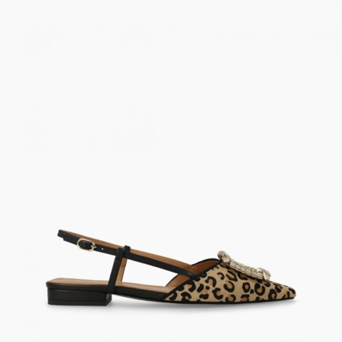 BAILARINAS MARRONES BO5504-P