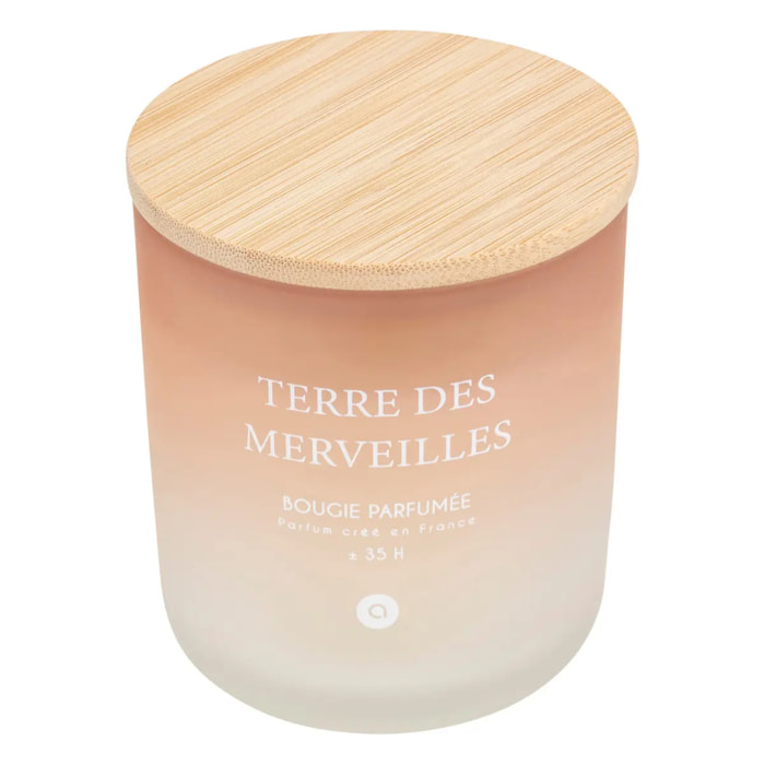 Bougie parfumée Sana 255g pot verre Terre des Merveilles