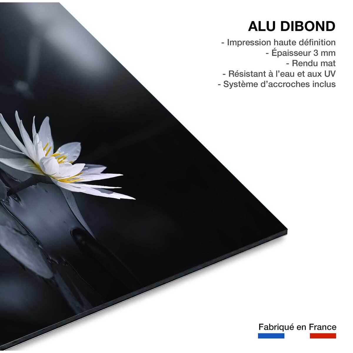 Tableau fleurs Alba nénuphar Tableau alu Dibond