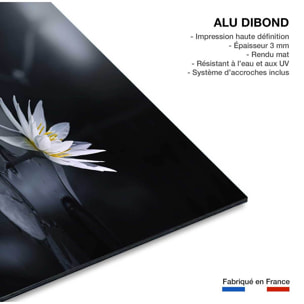 Tableau fleurs Alba nénuphar Tableau alu Dibond