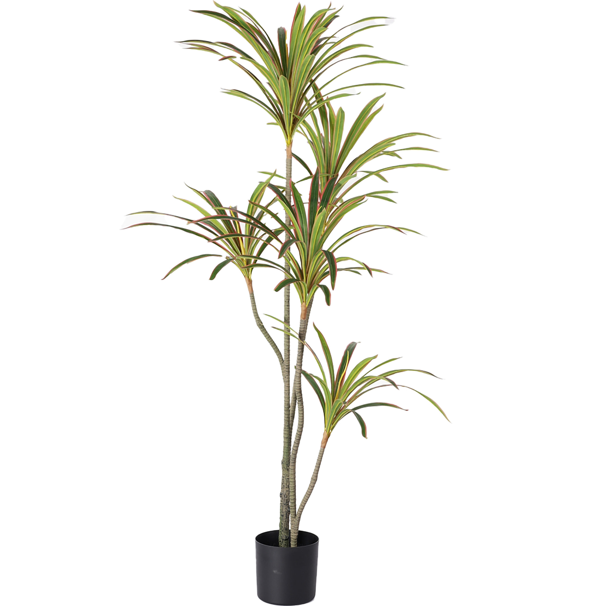 Dracena Marginata Con Vaso 190 Cm - Pezzi 1 - 90X190X90cm - Colore: Verde - Bianchi Dino - Piante Artificiali