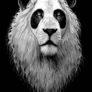 Affiche enfant le pandalion  Affiche + cadre en bois - Chêne