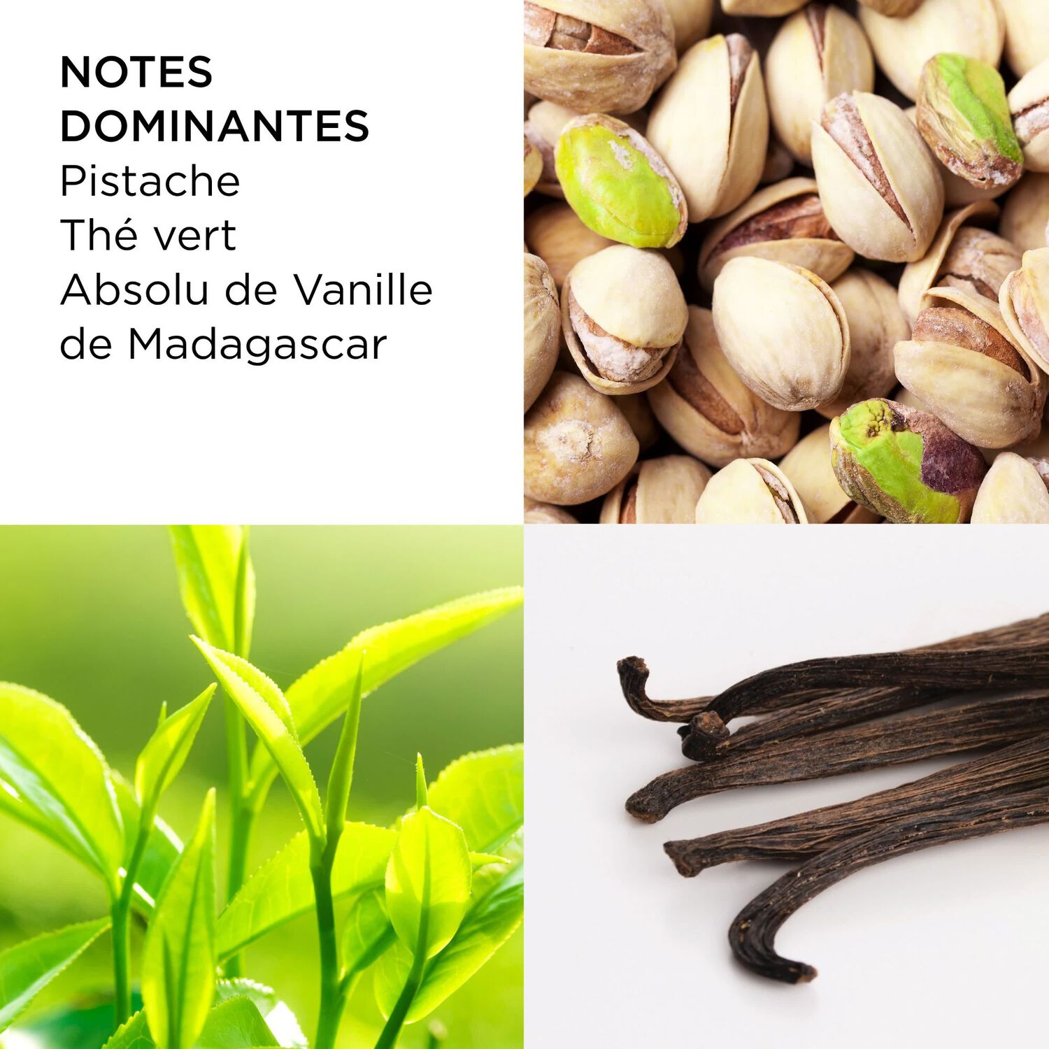 Green Tea Pistachio Crunch - Eau de Toilette