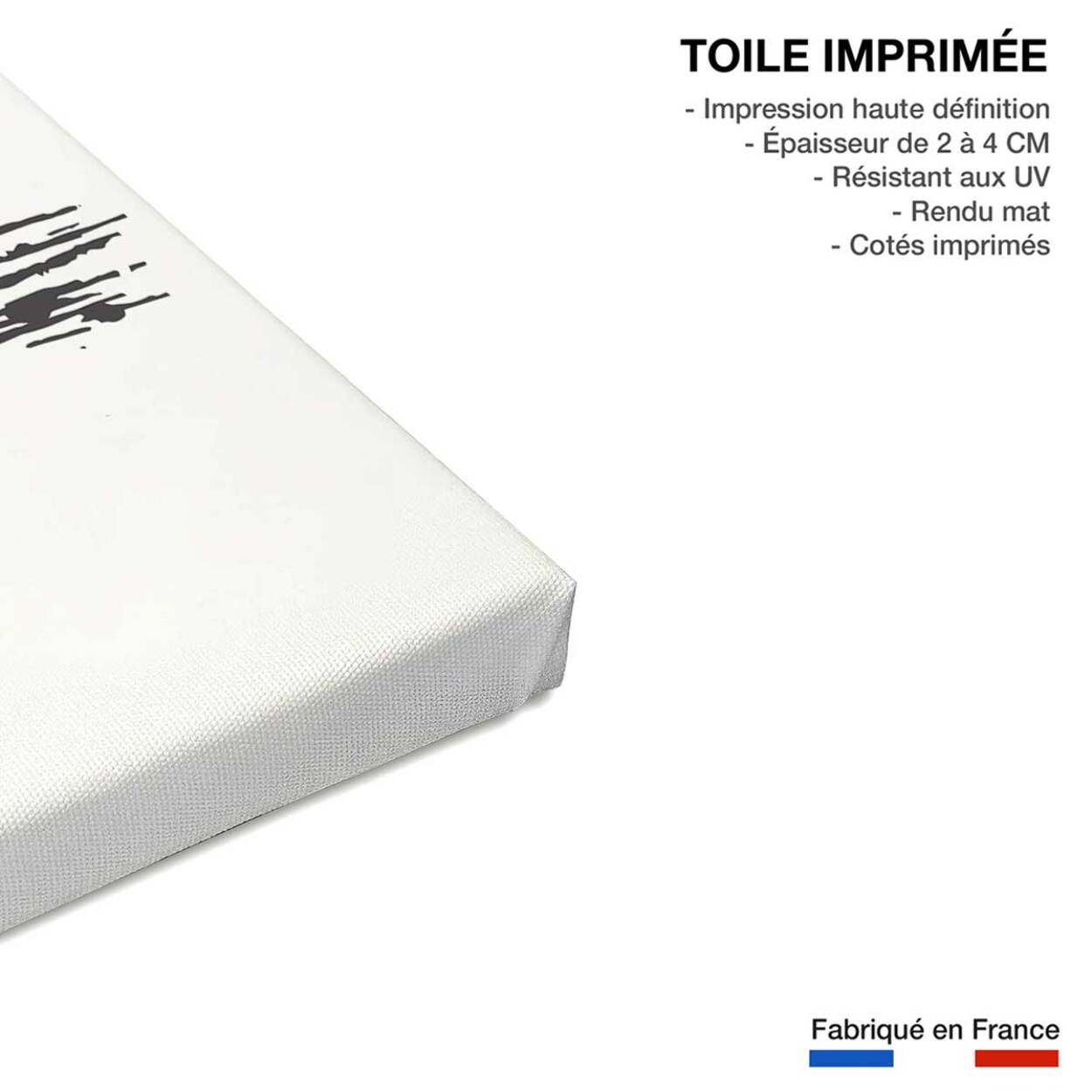 Tableau surfeuse sunset Toile imprimée