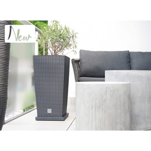 Plataforma movil para macetas prosperplast de plastico cuadrada con 4 ruedas 39 x 39 x 4,5 cm en color antracita