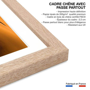 Affiche paysage dune et lumière Affiche + cadre en bois - Chêne