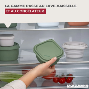 Lot de 4 boîtes à snacks 13 cl avec 3 boîtes à sauce Fackelmann Storage