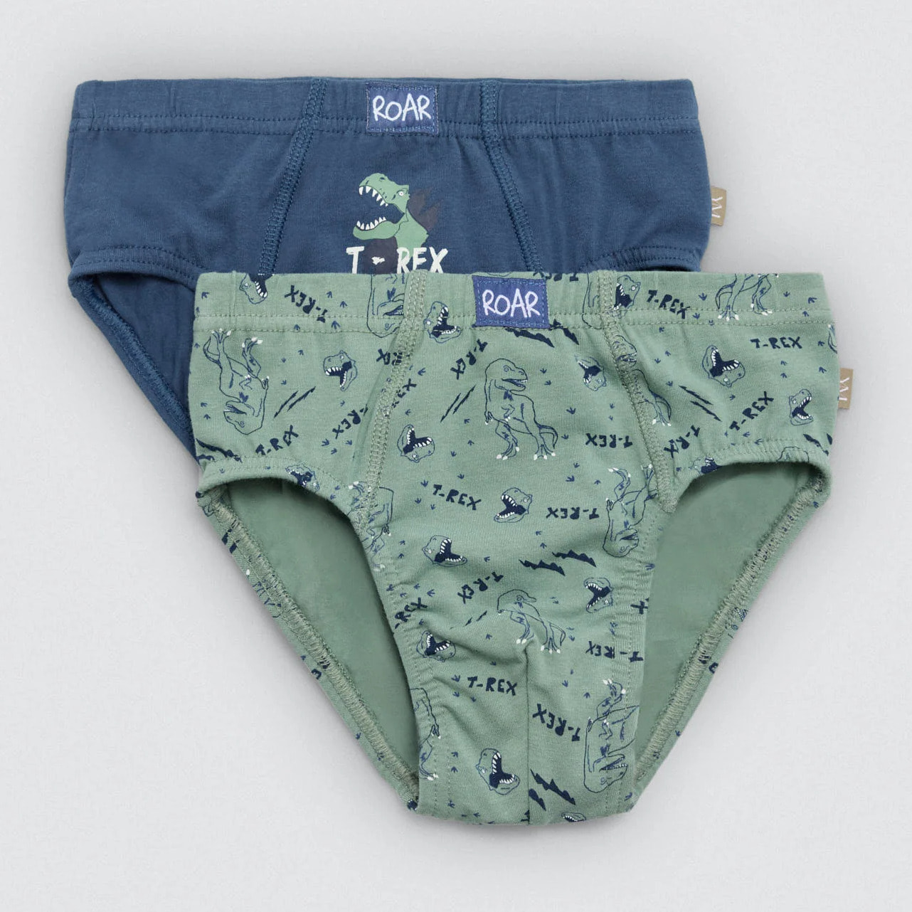 Confezione da 2 slip in cotone per bambini con stampa di dinosauri