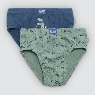Confezione da 2 slip in cotone per bambini con stampa di dinosauri