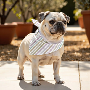 Pack de 2 bandanas pour animaux Naiara 4-100