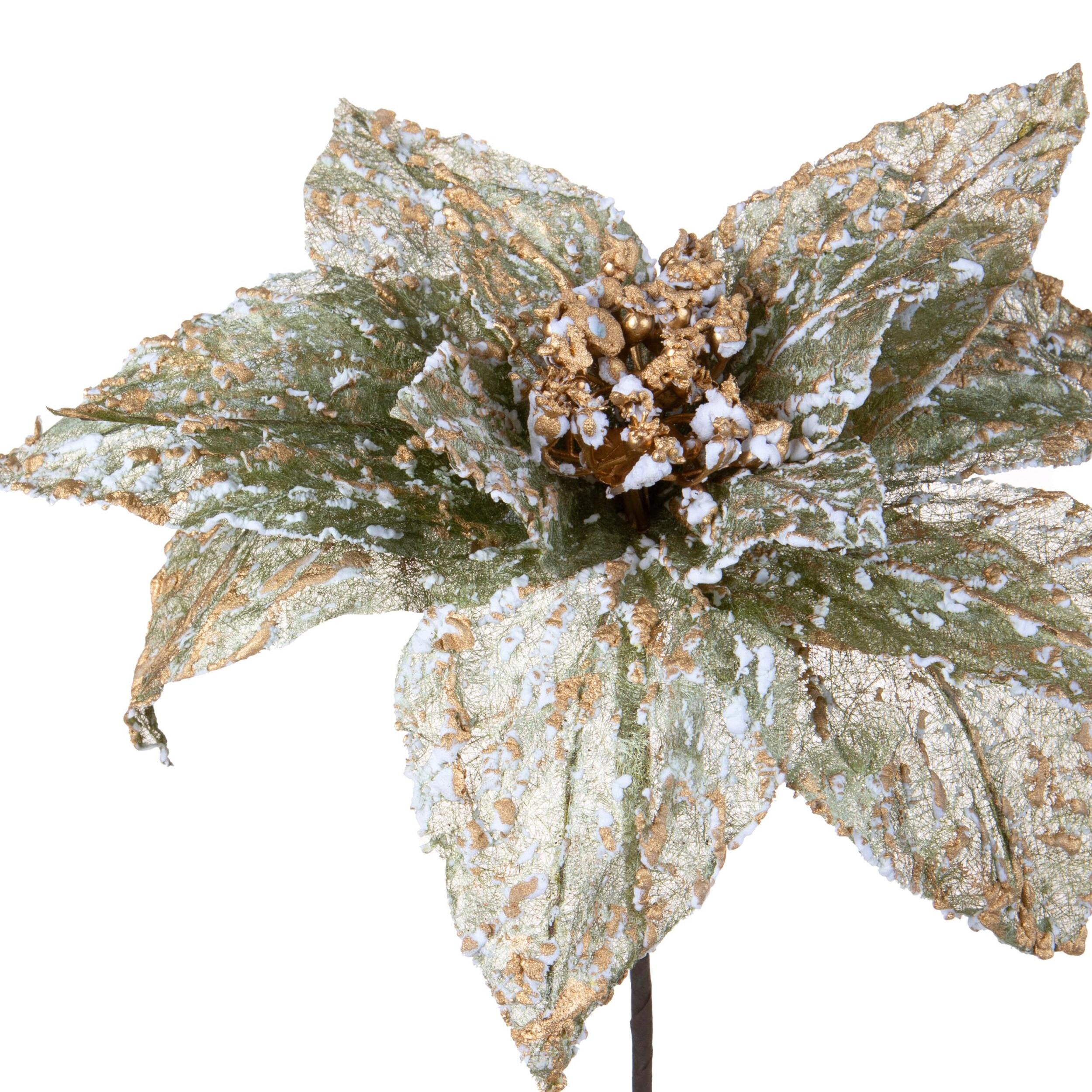 Stella natale - Pezzi 12 - 32xH50x32cm - Bianchi Dino SpA