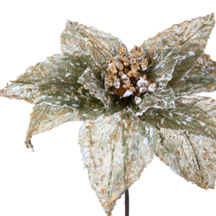 Stella natale - Pezzi 12 - 32xH50x32cm - Bianchi Dino SpA