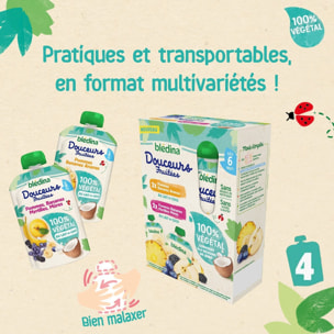 16 Gourdes 100% végétal Fruits & Lait de Coco 4x(4x90g) - Blédina Dès 6 Mois