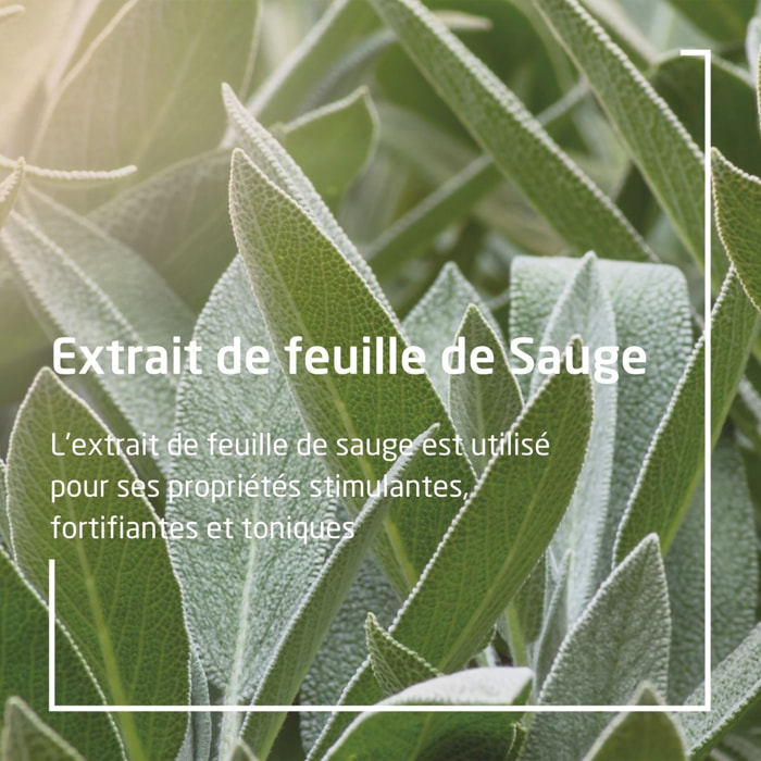 WELEDA - Déodorant spray Sauge - 100 ml