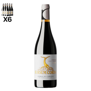 Caja de 6 botellas de vino tinto Sursum Corda. 100% Garnacha, crianza de 4 meses, Cebreros. Vendimia del 2021. 75cl con 14,5% vol.