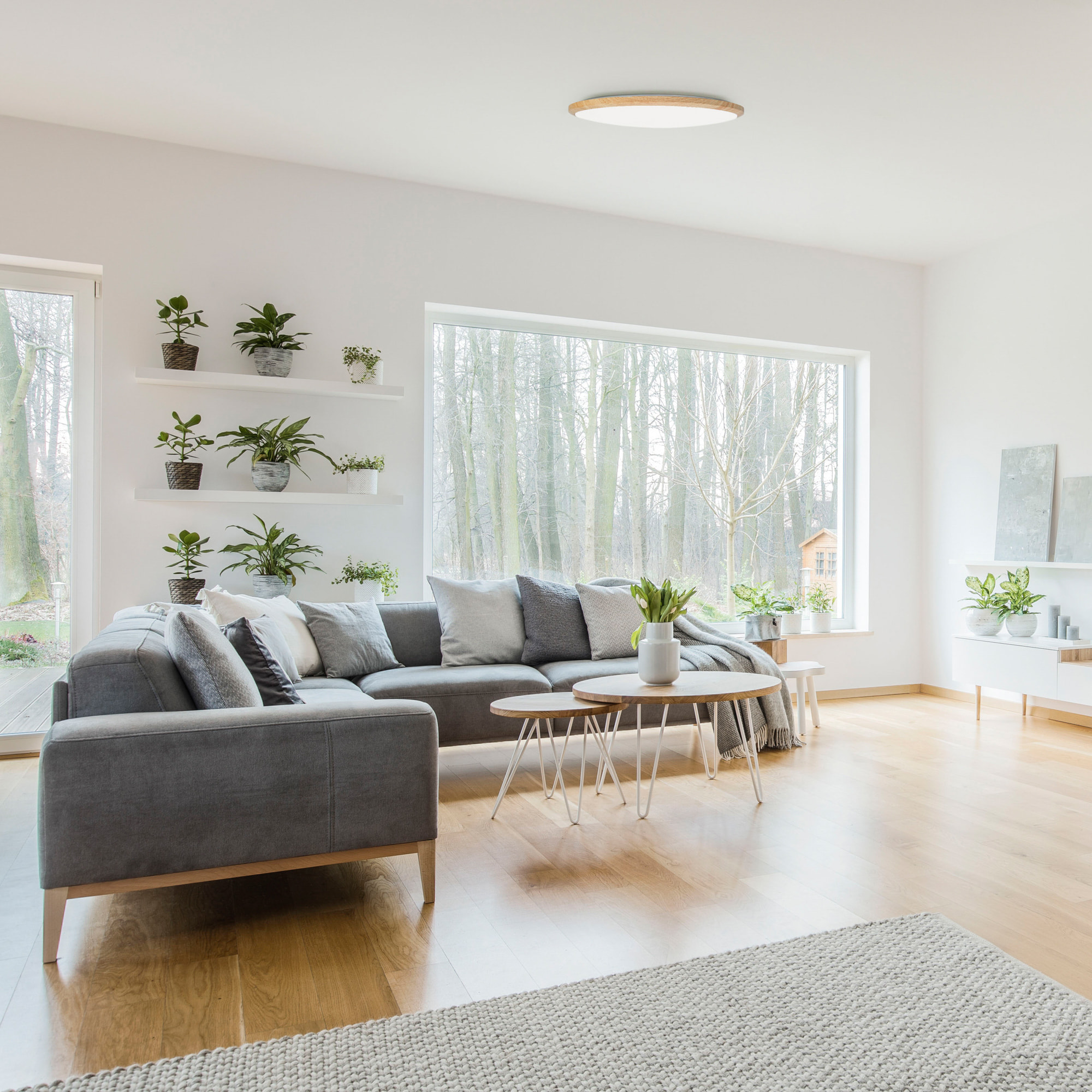 FORLIGHT PLAFÓN IP20 WILLY LED 15.2W BLANCO NEUTRO - 4000K ON-OFF IMITACIÓN MADERA