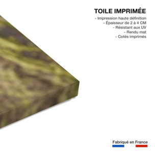 Tableau animaux renard  Toile imprimée