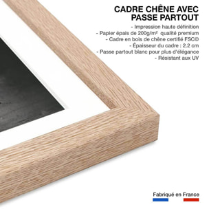 Affiche animaux zèbre en balade Affiche + cadre en bois - Chêne
