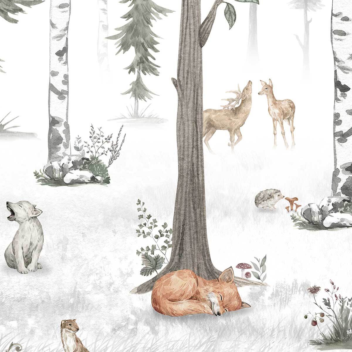 Papier enfant Forêt de bouleaux et Cie Intissé