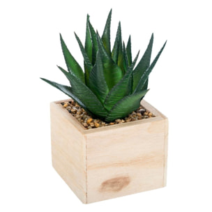 Chic planta de madera verde h14