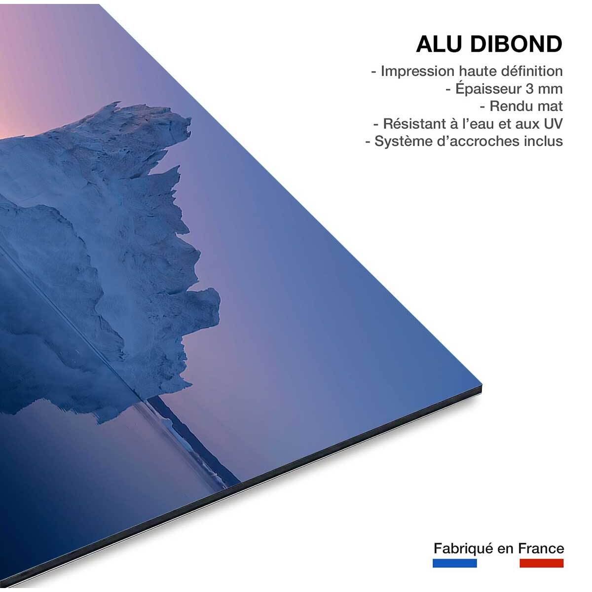 Tableau iceberg disco Tableau alu Dibond