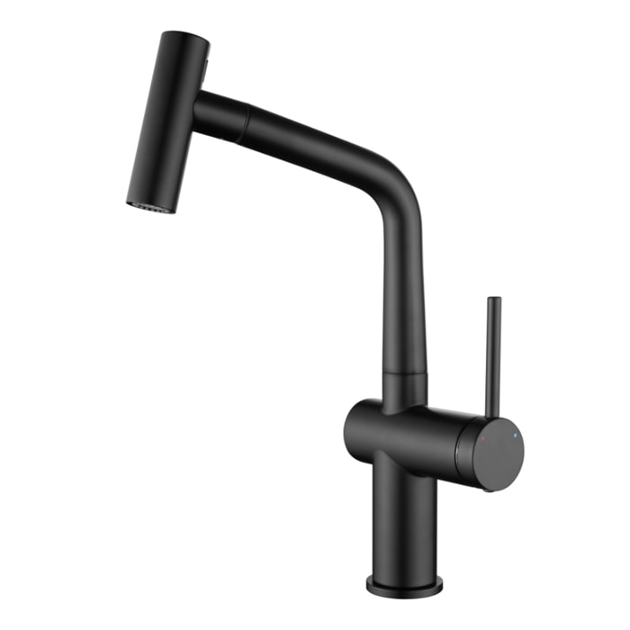Timeless mitigeur d'évier à levier en acier inoxydable avec douchette extractible, monotrou, noir mat (TMLKF185BM)