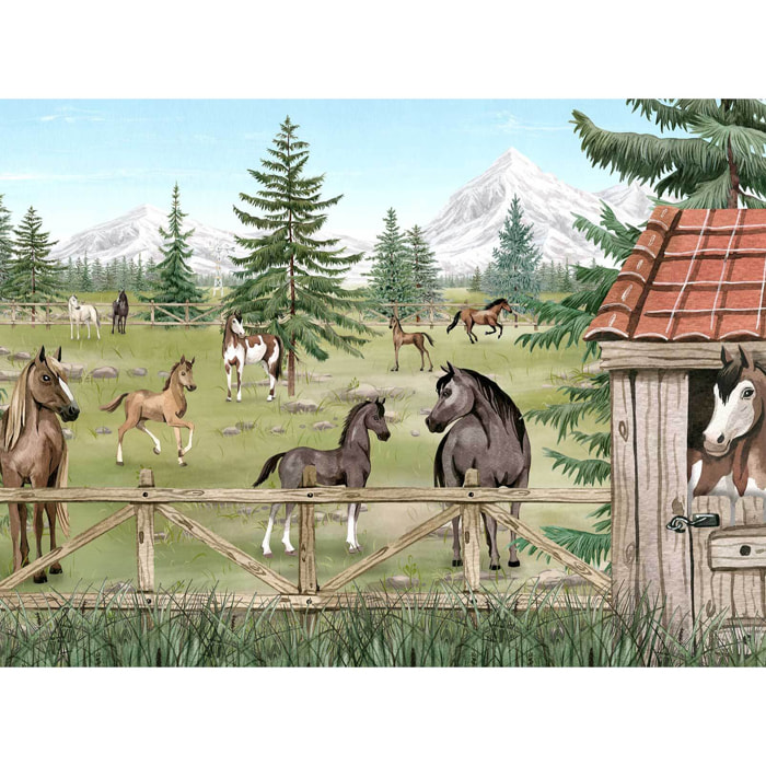 Papier peint chevaux et western chambre garçon Intissé